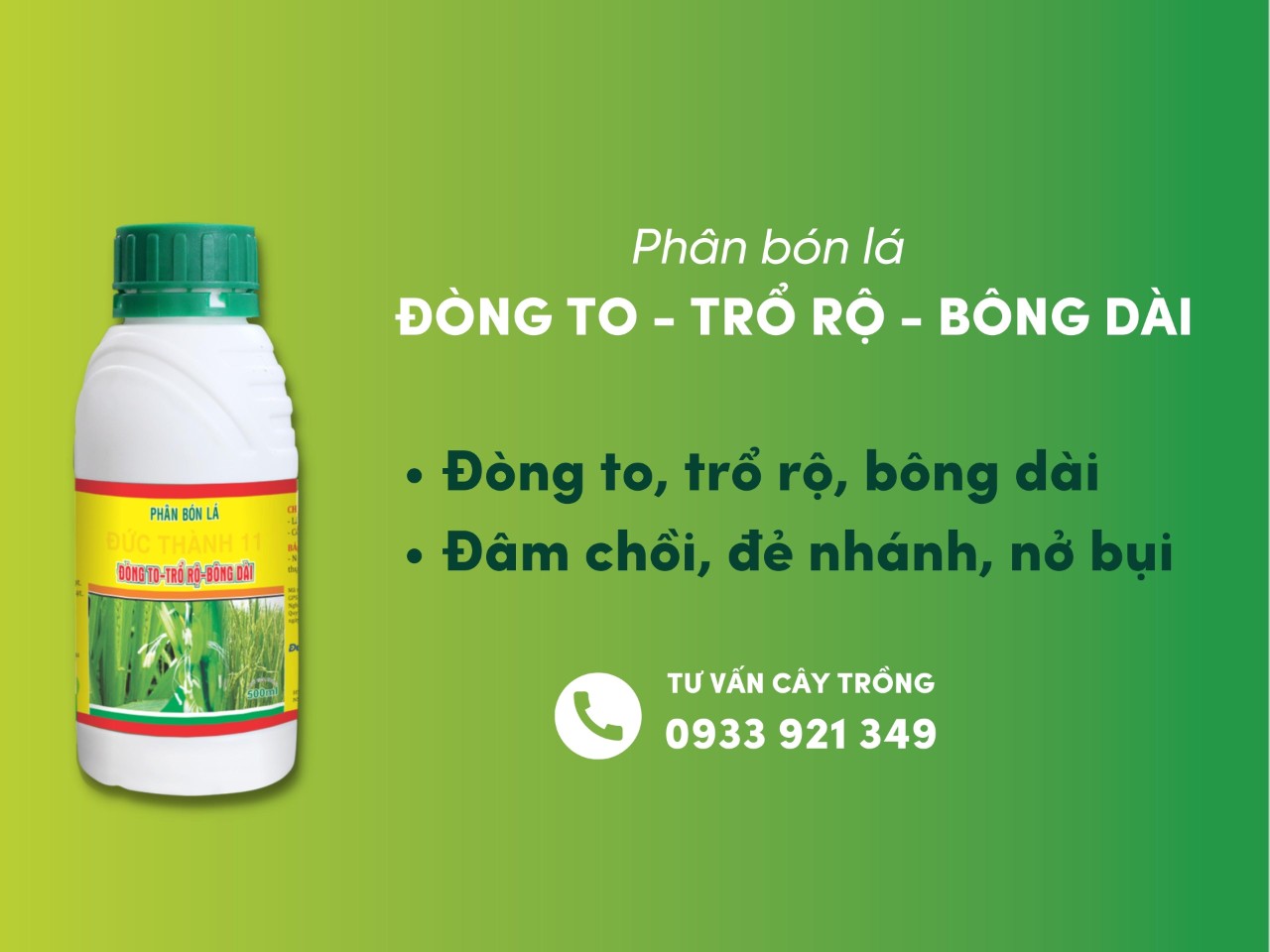 6-l-u-trong-k-thu-t-canh-t-c-l-a-v-h-thu-2022-ph-n-b-n-thu-c
