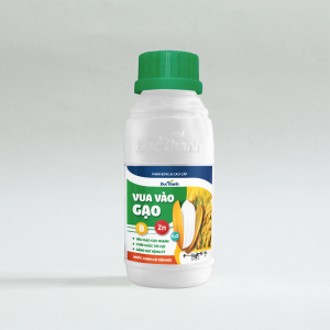 Phân bón lá DT9 - Vua Vào Gạo