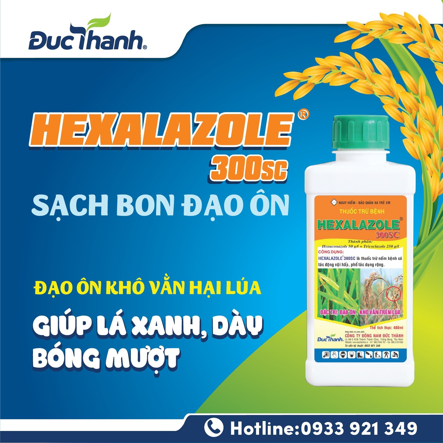 Hexalazole 300SC phòng trừ bệnh đạo ôn trên lúa