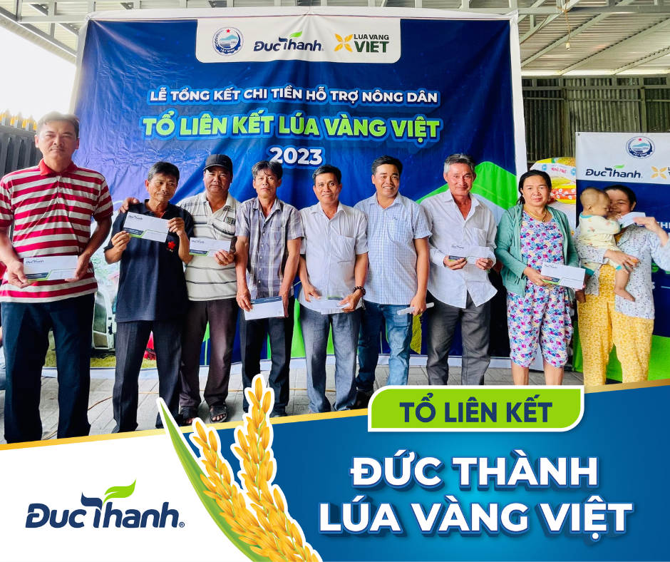 TỔ LIÊN KẾT ĐỨC THÀNH - LÚA VÀNG VIỆT & HTX PHƯỚC HOÀ - VỤ ĐÔNG XUÂN 2023