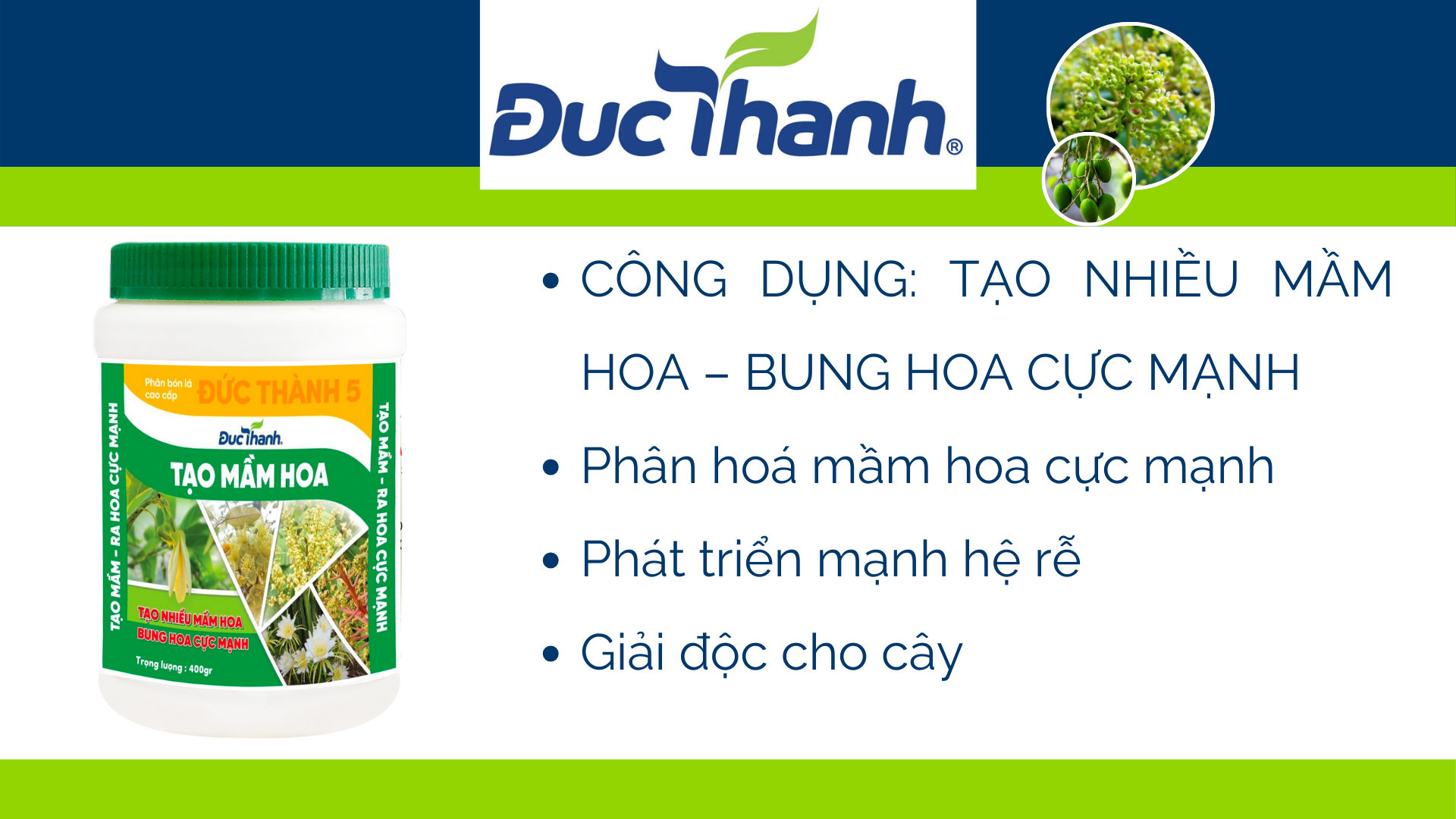 DT5 - Tạo nhiều mầm hoa, tạo hoa cực mạnh