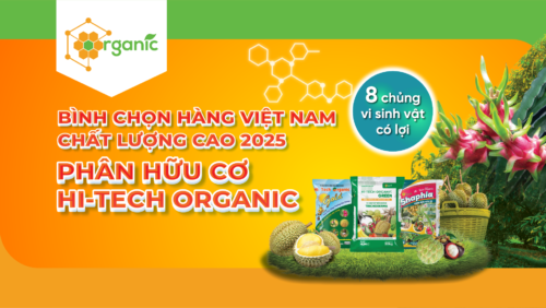 Hướng dẫn bình chọn Hàng Việt Nam chất lượng cao 2025