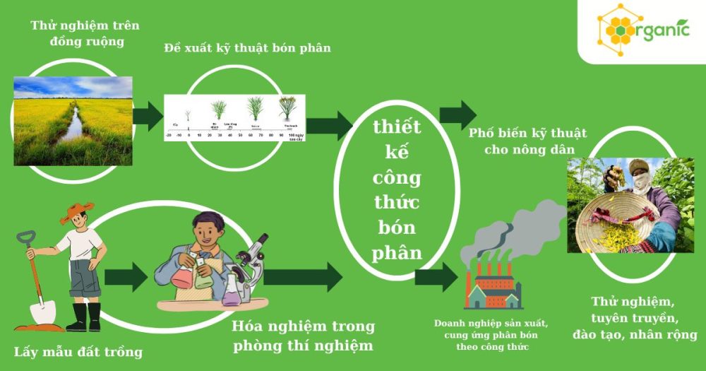 Quy trình đưa ra công thức bón phân dựa trên khảo nghiệm đất trồng