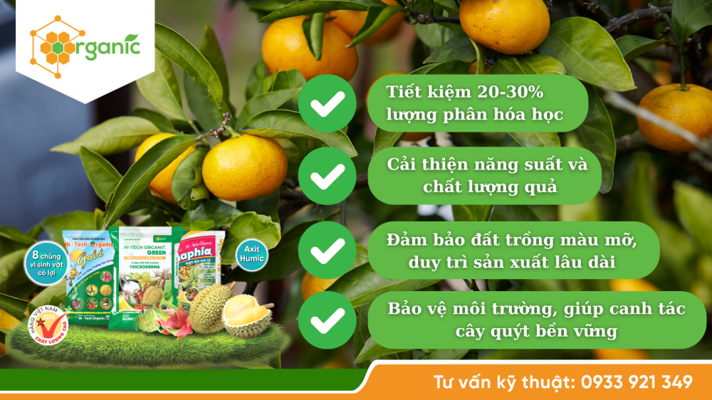 Lợi ích của mô hình “bón phân dựa trên khảo nghiệm đất trồng + phân hữu cơ”