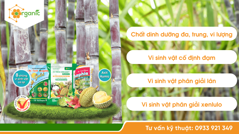 Phân hữu cơ Hi-tech Organic, phù hợp cho lối canh tác bền vững cây mía