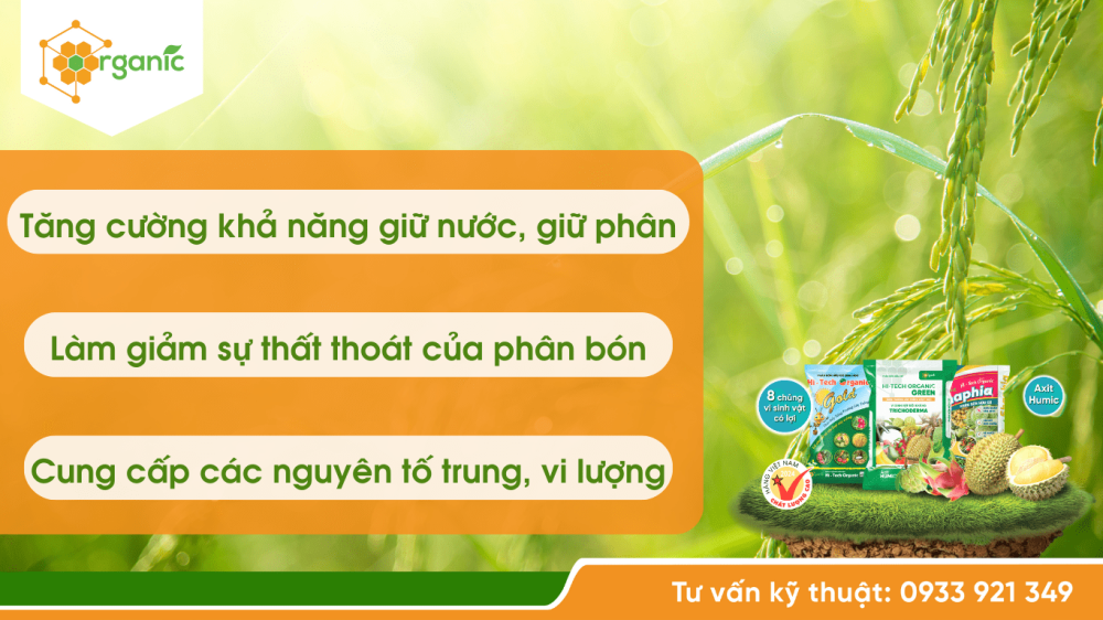 Kỹ thuật bón phân hữu cơ cho lúa hiệu quả