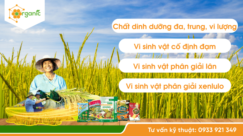 Phân hữu cơ Hi-tech Organic, phù hợp cho canh tác bền vững cây lúa