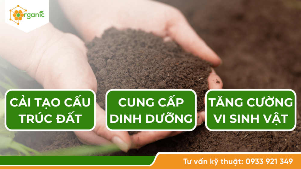 Ứng dụng của phân hữu cơ Hi-tech Organic