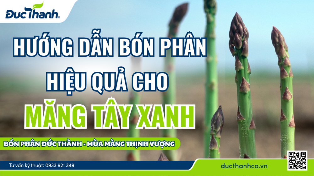 Một số loại đất phù hợp dùng để canh tác cho măng tây xanh