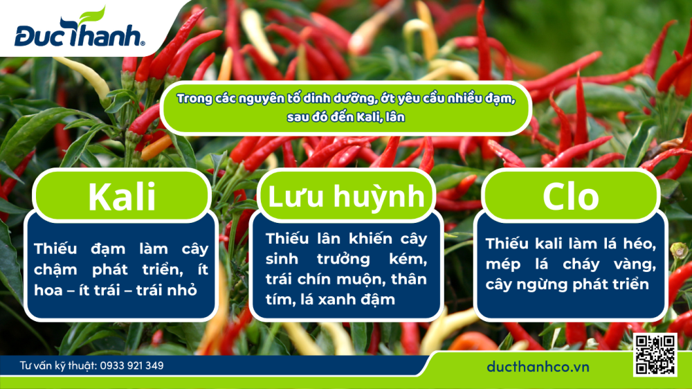 Vai trò của các chất dinh dưỡng đối với ớt
