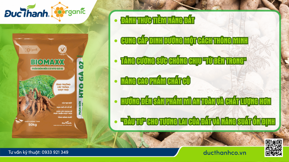 Phân bón hữu cơ HTO Gà 02 BioMaxx: “Bí kíp mới” cho vụ mì bội thu!