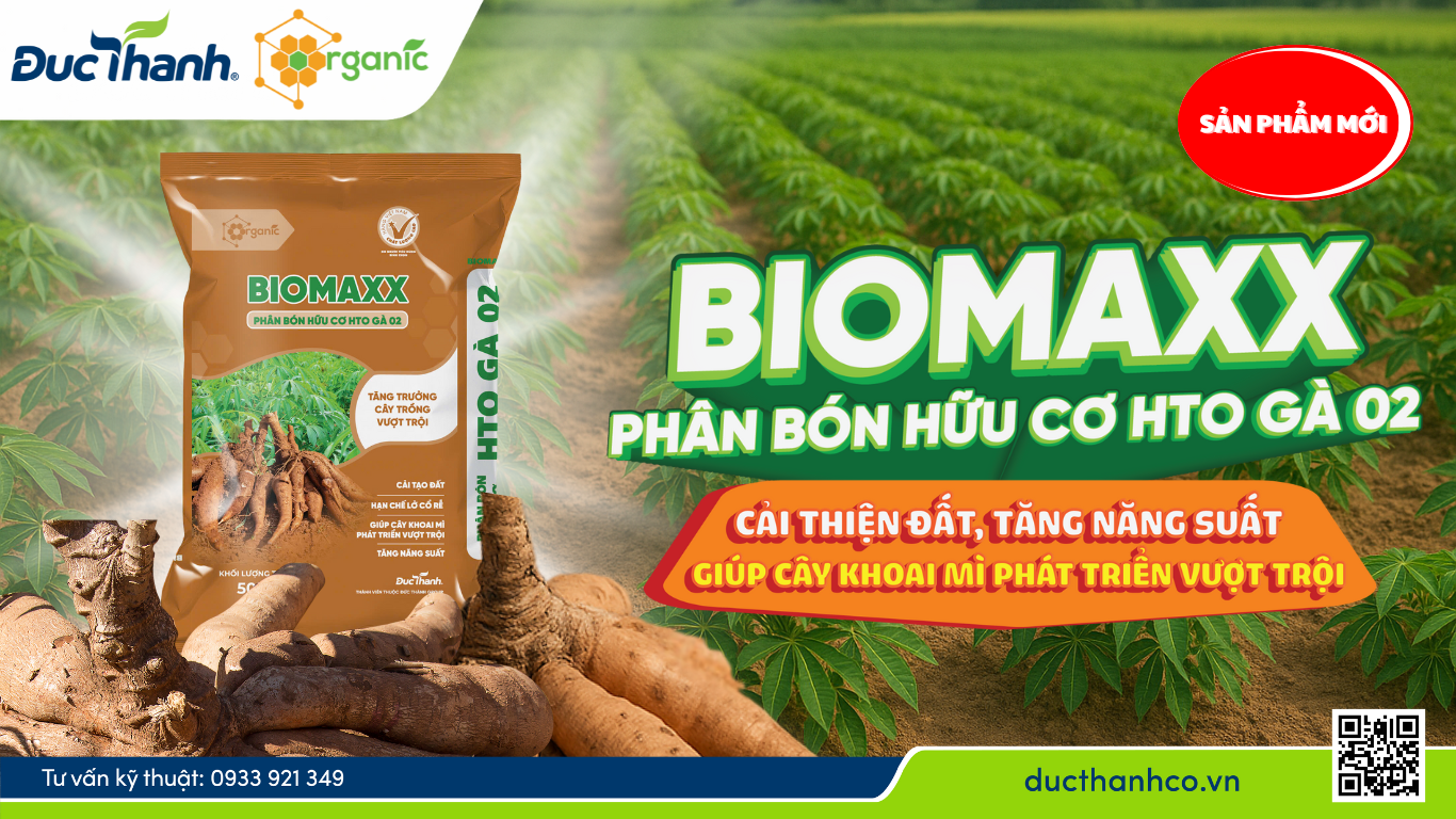 HTO Gà 02 BioMaxx - Phân bón hữu cơ chuyên dùng cho khoai mì