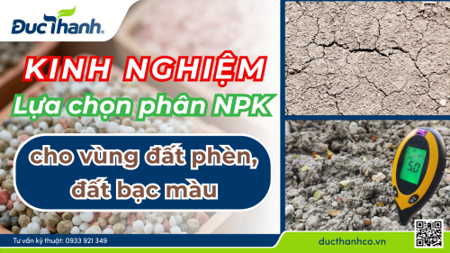 Kinh nghiệm lựa chọn phân NPK cho vùng đất phèn, đất bạc màu