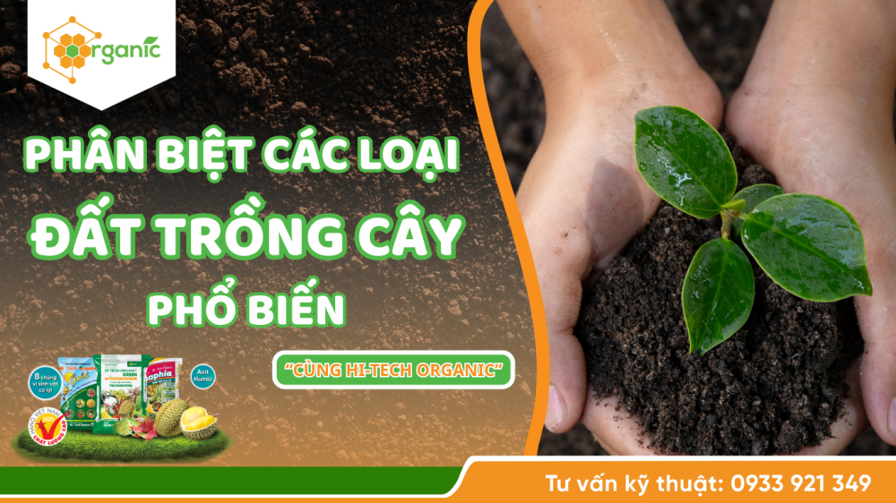 Phân biệt các loại đất trồng cây phổ biến