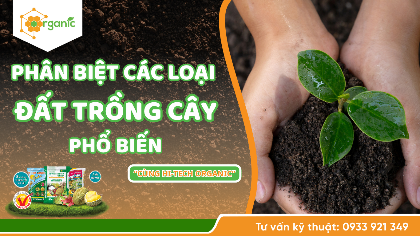 Phân biệt các loại đất trồng cây phổ biến