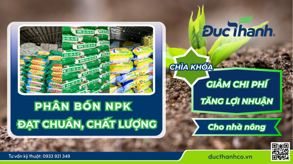 Phân bón NPK đạt chuẩn, chất lượng