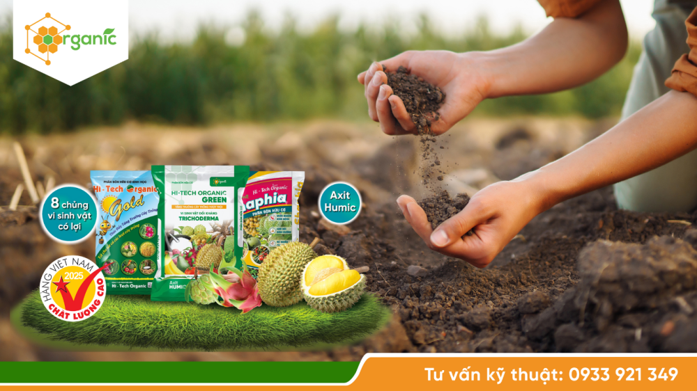 Bổ sung phân bón hữu cơ Hi-tech Organic để xử lý cây bị ngộ độc dinh dưỡng