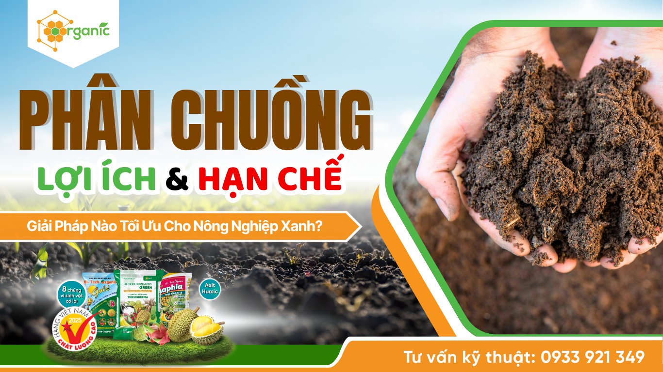 Phân chuồng: Lợi ích và hạn chế