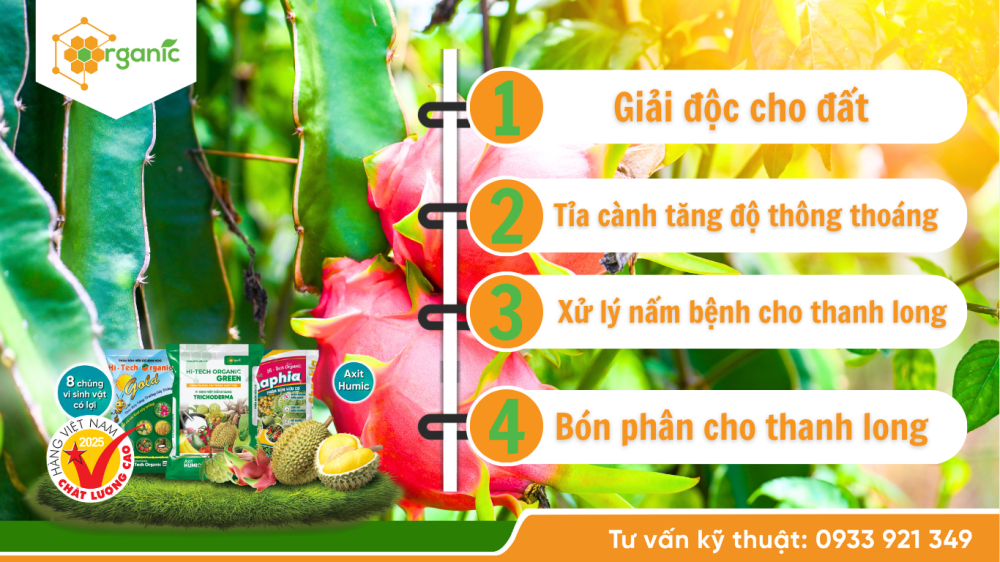 Hình 2. Quy trình phục hồi thanh long sau thu hoạch