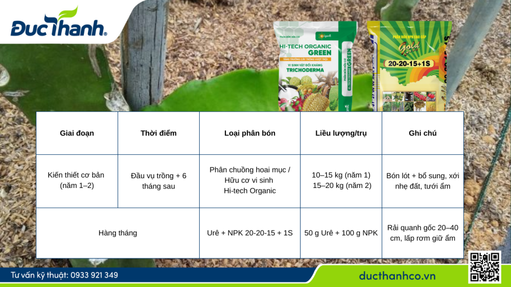Bón phân giai đoạn kiến thiết cơ bản