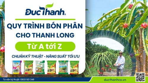 bón phân cho thanh long từ A tới Z
