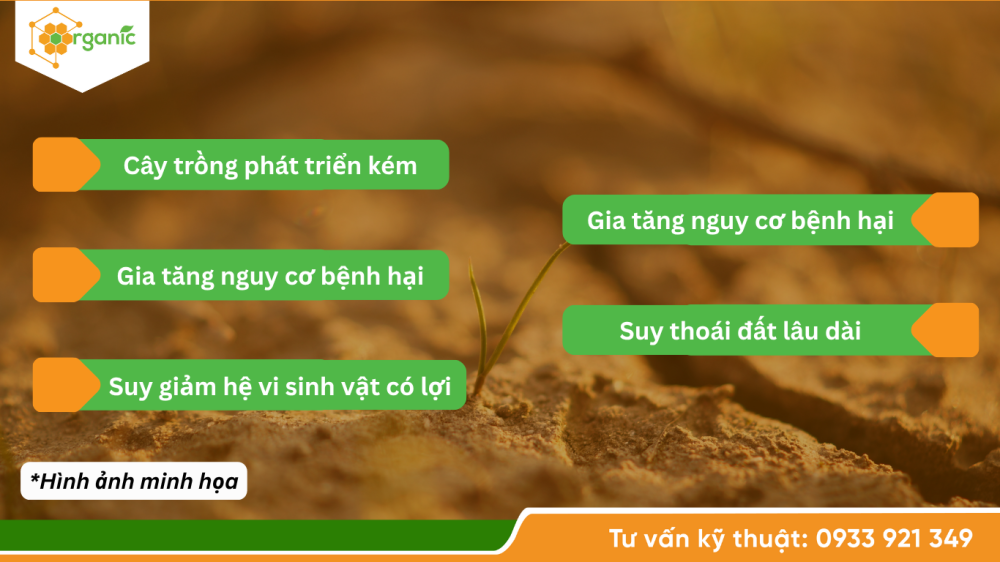 Hình 3. Rủi ro khi canh tác trên đất chai cứng, nén chặt