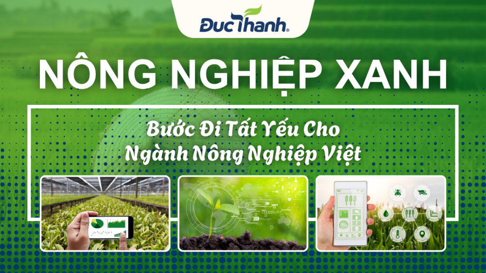Nông Nghiệp Xanh – Bước Đi Tất Yếu Cho Ngành Nông Nghiệp Việt