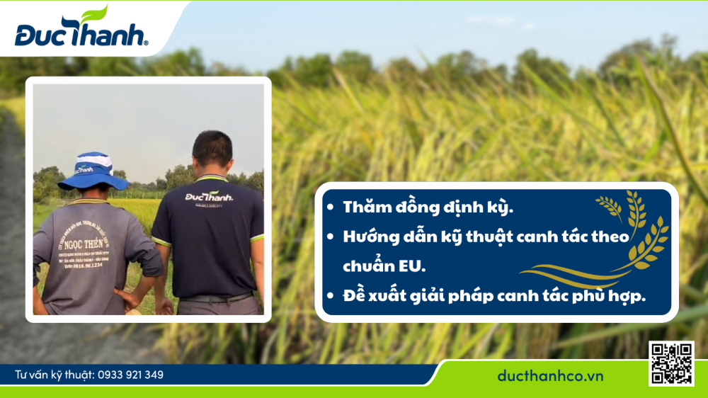 Kỹ sư nông nghiệp Đức Thành - Đồng hành cùng nhà nông