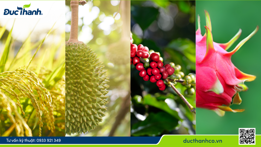 Hình 2. Xu hướng nông nghiệp xanh lan tỏa mạnh mẽ