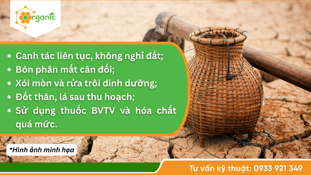Hình 2. Nguyên nhân gây ra đất bạc màu