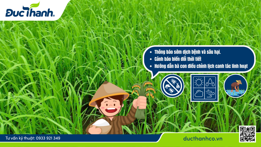 Cập nhật nhanh thông tin dịch bệnh & thời tiết