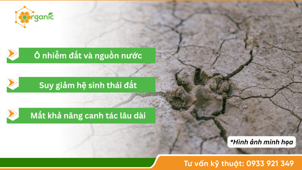 Hình 4. Hậu quả về môi trường khi đất bạc màu lâu dài