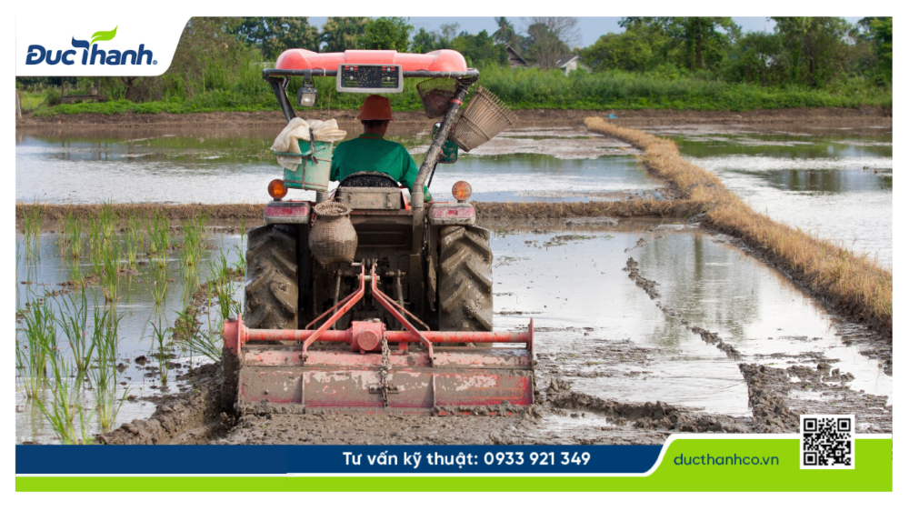 Hình 2. Biện pháp phòng ngừa ngộ độc hữu cơ trên lúa