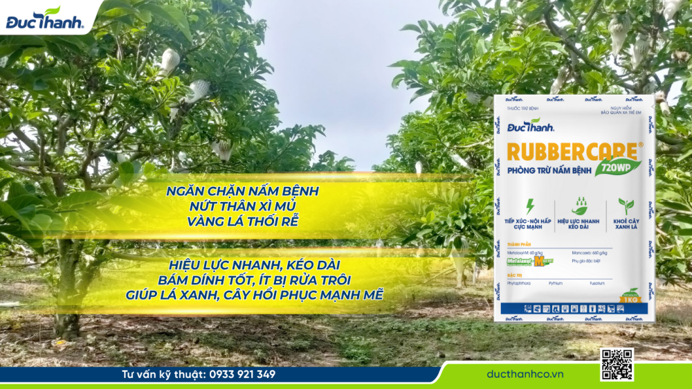 Biện pháp phòng trừ nấm bồ hóng trên cây mãng cầu 