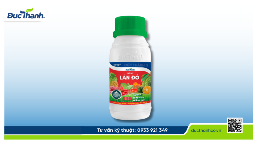 Hình 3. Giải pháp phục hồi lúa bị ngộ độc hữu cơ bằng Siêu Lân Đỏ Đức Thành