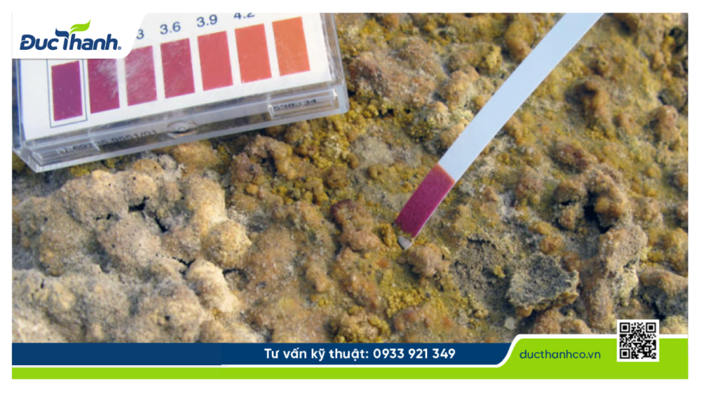 Hình 2. Đặc điểm của đất phèn