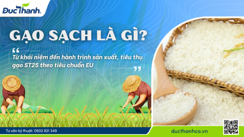 Gạo sạch là gì? Từ khái niệm đến hành trình sản xuất, tiêu thụ ST25 theo tiêu chuẩn EU