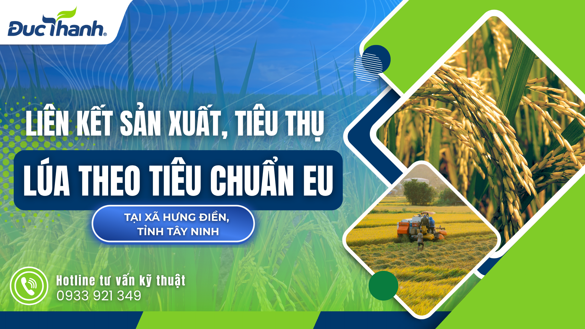 Liên kết sản xuất – tiêu thụ lúa theo tiêu chuẩn EU tại xã Hưng Điền, Tây Ninh