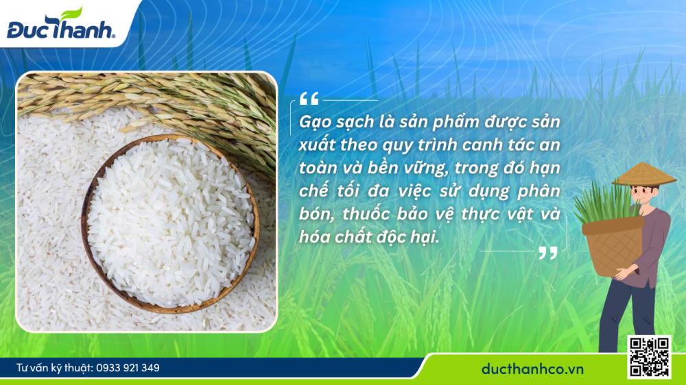Hình 1. Gạo sạch là gì? So sánh gạo sạch và gạo thông thường