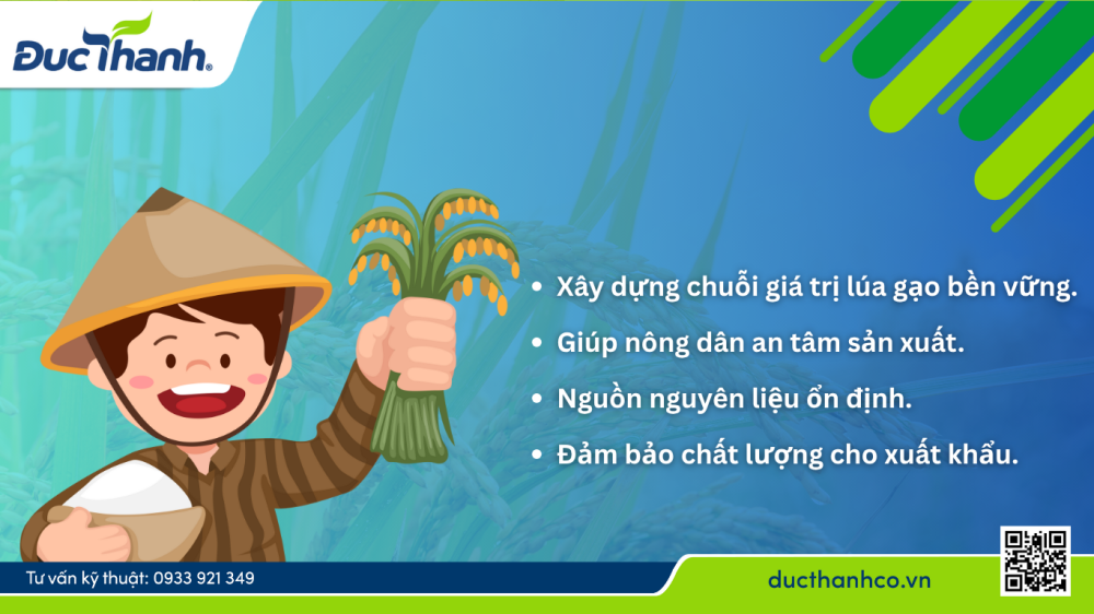 bao tiêu lúa trong chương trình liên kết