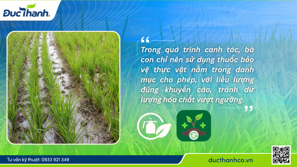 Hình 2. Từ hạt lúa đến hạt gạo sạch