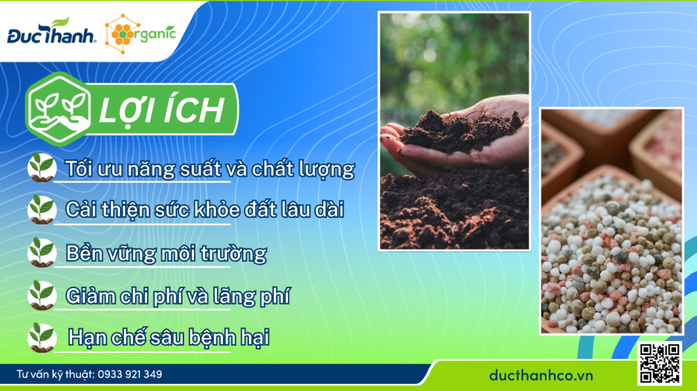Hình 4. Lợi ích khi kết hợp phân NPK và phân hữu cơ