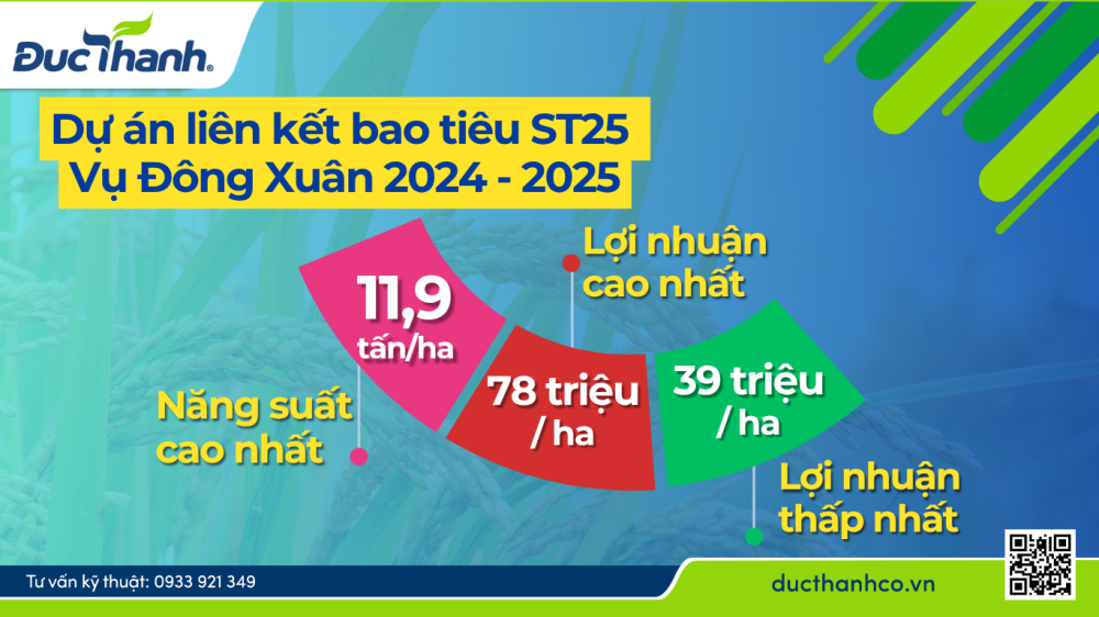 bao tiêu lúa trong chương trình liên kết