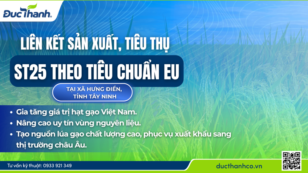 Hình 4. Tiêu chuẩn EU – Bước tiến nâng tầm hạt gạo Việt