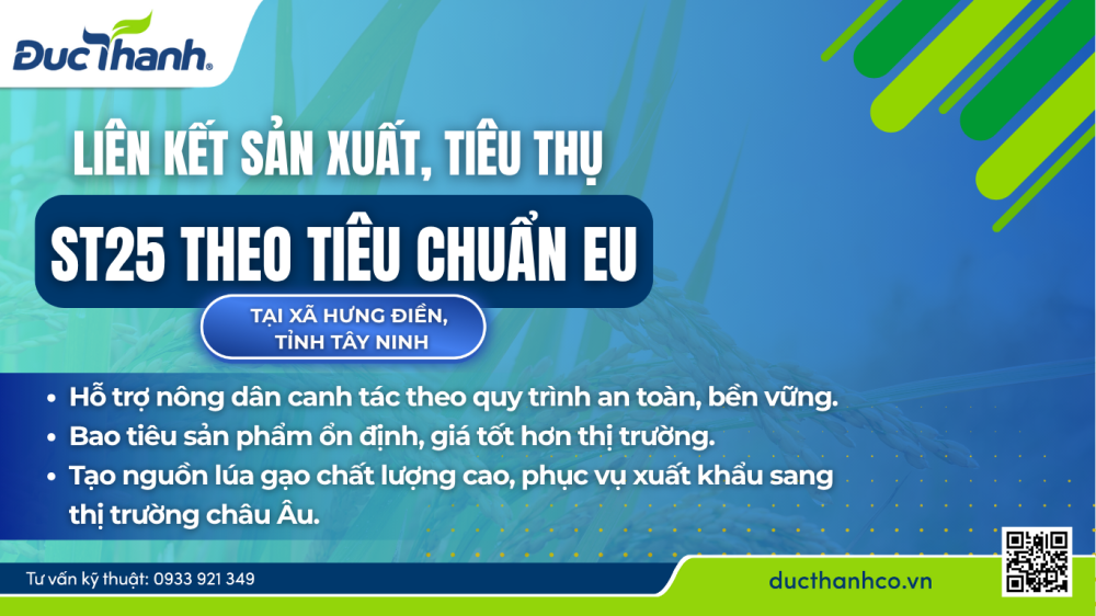 bao tiêu lúa trong chương trình liên kết