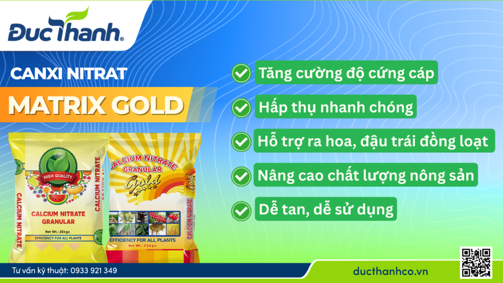 Hình 3. Phân bón Canxi Nitrat Matrix Gold – Giải pháp canxi cho hiệu quả cây trồng tối ưu