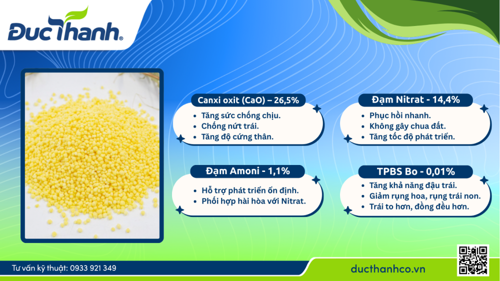 Hình 2. Thành phần và vai trò nổi bật