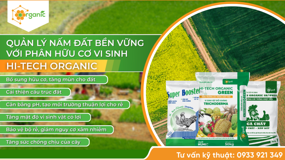 Hình 4. Giải pháp quản lý nấm đất bền vững với phân hữu cơ vi sinh Hi-tech Organic