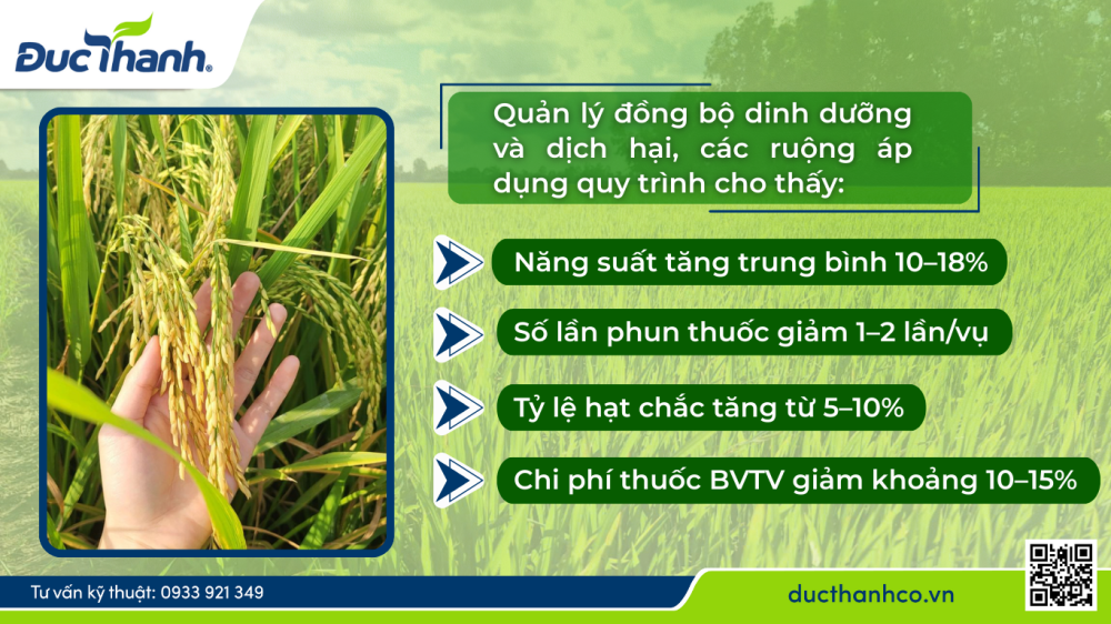 Hình 1. Kết quả áp dụng quy trình bón phân và phun thuốc hợp lý