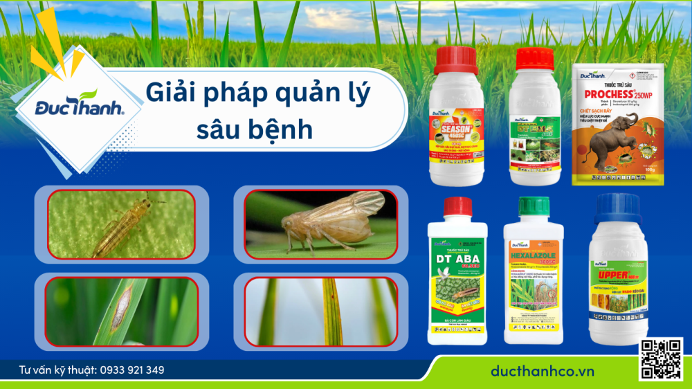 Hình 4. Giải pháp quản lý sâu bệnh lúa Đông Xuân theo khuyến cáo Đức Thành